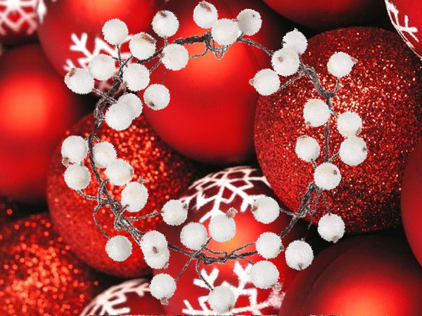 Décoration de noël en sorbier blanc givré 5 pcs