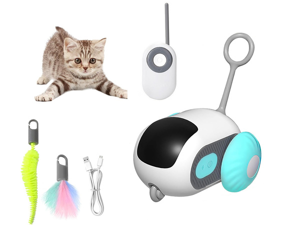 Interactive cat toy remote control escaping usb-c remote control