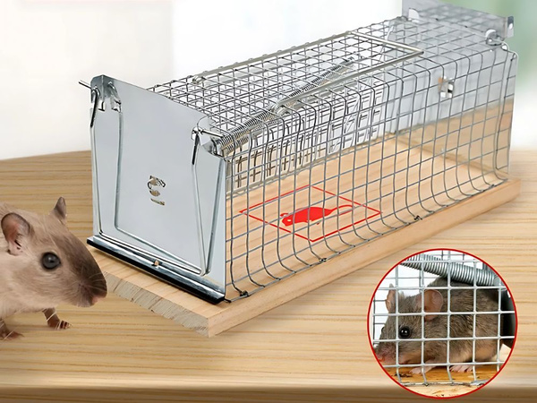 Humane rattenfalle grosser metallkäfig xl