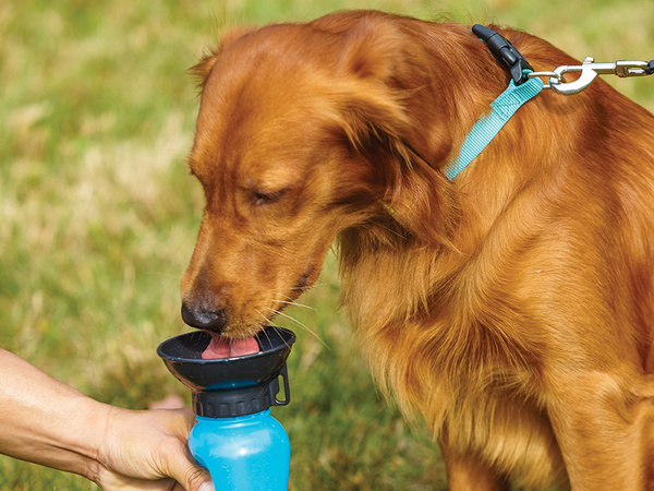 Travel bottle dog bowl 0.5l