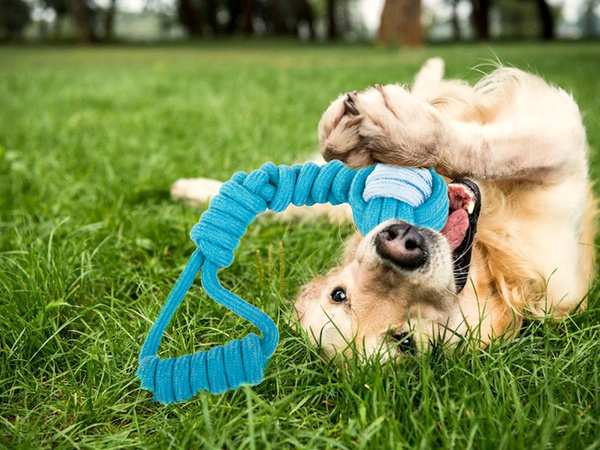 Dog toy chew tug rope strong long