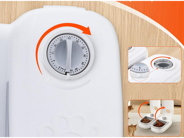 Bol dublu pentru câine pisică distribuitor automat de alimente timer mare