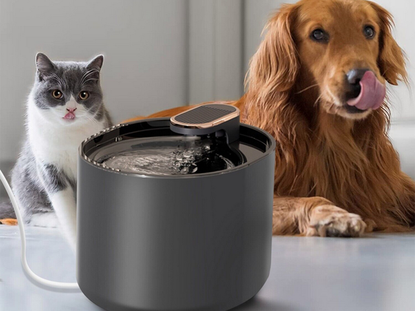 Bebedero automático para gatos fuente de agua para perros filtros cuenco de agua