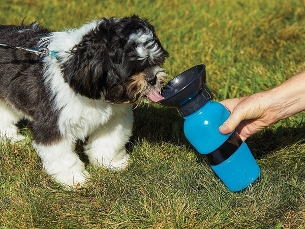 Botella de viaje cuenco para perro 0,5l