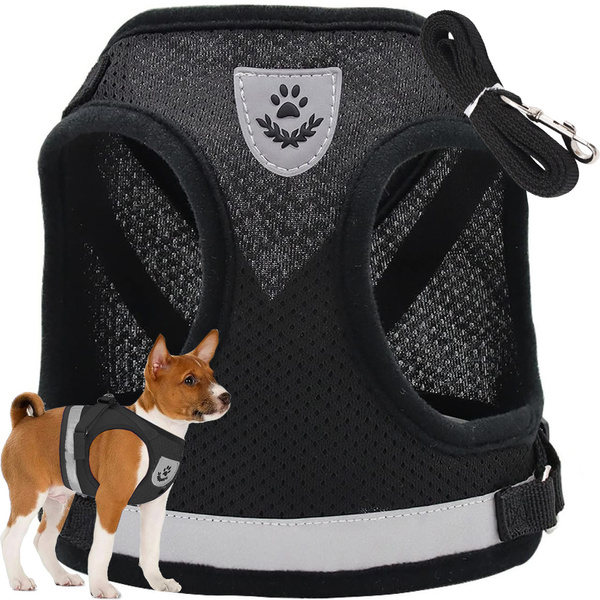 Porte-manteau sans pression pour chien chat lapin doux fort réflecteur m