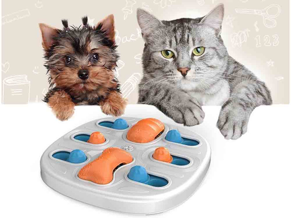 Oktató kutyajáték logikai jutalomjáték szagló rágójáték