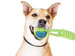 Jouet pour chien à mâcher corde forte longue