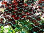 Filet pour oiseaux filet pour oiseaux solide 4x10