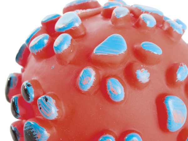 Pískací míček pro psy gumové barvy