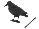 Dissuasion d'oiseaux étourneaux pigeons rongeurs grand xxl