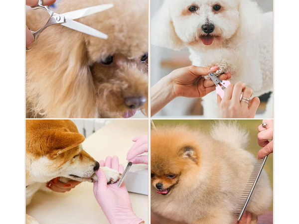 Profesionalni komplet akumulatorskih strižnikov za pse in hišne ljubljenčke