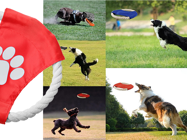 Hundespielzeug kauen tug seil frisbee scheibe