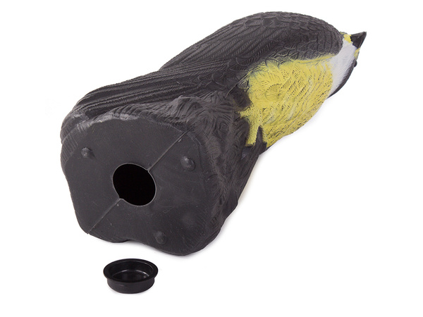 Falcon bird deterrent starlings pigeons mice large