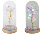 Everlasting rose in glass led luminous glass box women's day gift