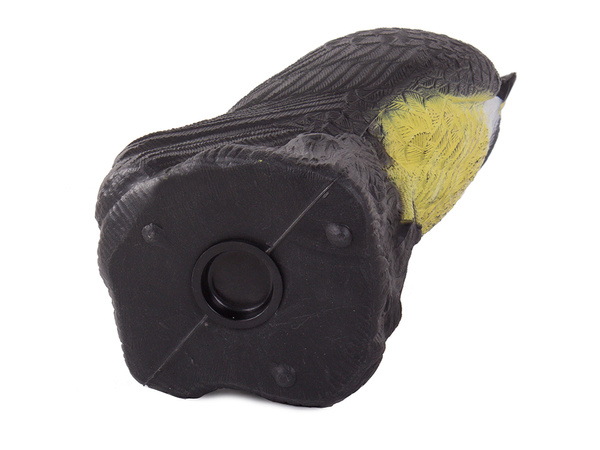 Falcon bird deterrent starlings pigeons mice large