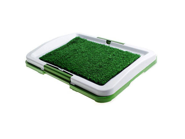 Welpe hund gras katzentoilette lernmatte