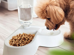 Gamelle double 2en1 avec réservoir de 500 ml pour chien et chat