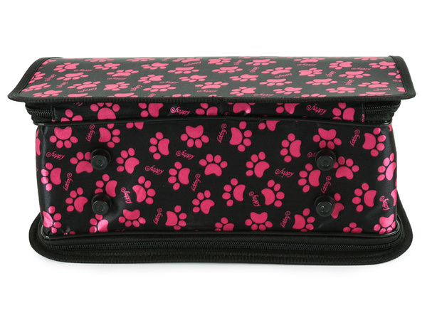 Transpordikott koerakandja kass suur