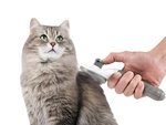 Selbstreinigende haarbürste für hunde katzen