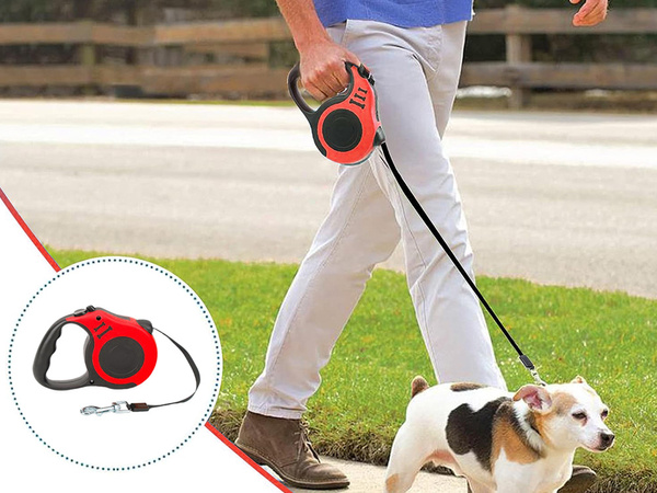 Ligne automatique pour chiens blocage puissant courbe légère 5m 15kg