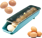 Boîte à oeufs boîte à oeufs organisateur de réfrigérateur plateau à oeufs