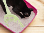 Cat litter box shovel large scoop