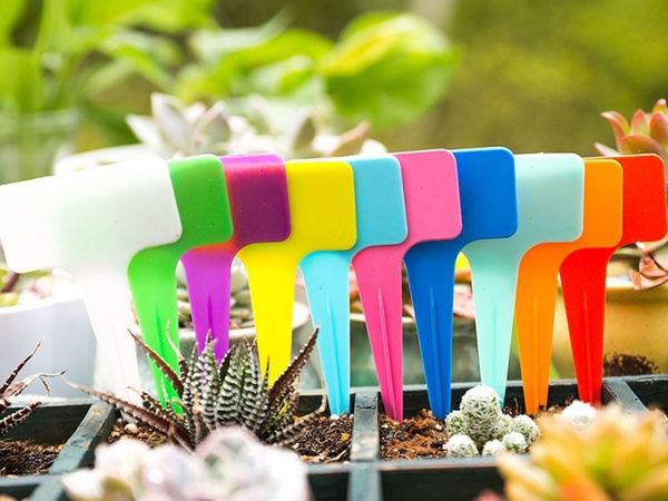 Plant description labels seeds characteristics 50pcs