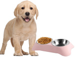 Double bowl for dog cat metal 2 bowls buffet