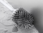 Escobilla de silicona para el baño a prueba de fugas base completa