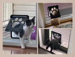 Porte pour chien porte pour chat chatière entrée