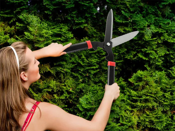 Aiakäärid põõsaste ja hekkide jaoks muru taimekäärid