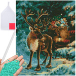 Diamant broderie ren crăciun set 5d