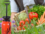 Pulverizador a presión jardín pulverizador manual lanza larga 8l correa