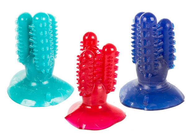 Dog chew toothbrush cactus for dogs