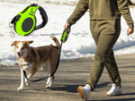 Automatic lanyard for dogs blocking powerful lightweight coil 5m 15kg