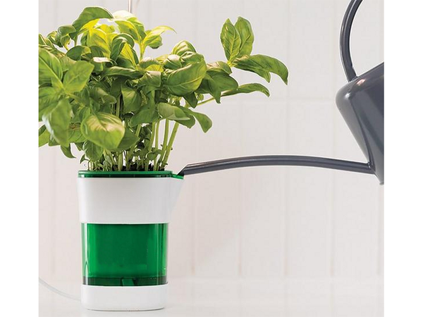 Taimekasvatuspaneel lamp 6 led 4 uv isekastuv potti