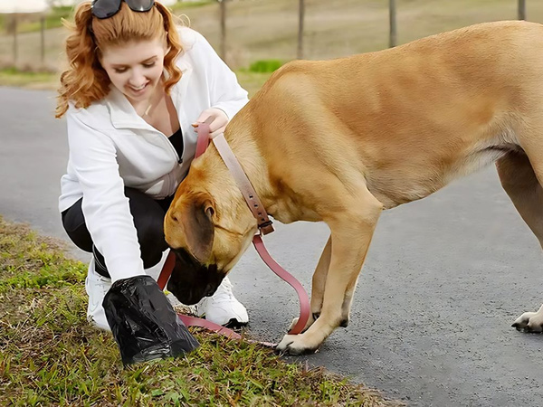 Sacs pour crottes de chien sacs 50 rouleaux solide chien + distributeur
