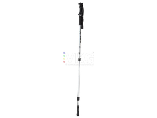 Teleskopowe kijki kije nordic walking kolor srebrny