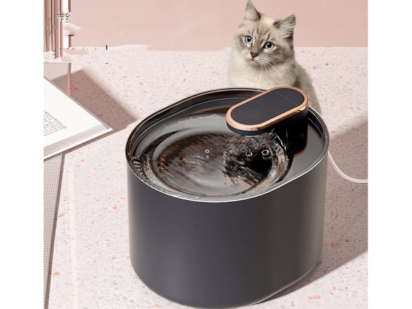 Abreuvoir automatique pour chat fontaine d'eau pour chien filtres bol d'eau