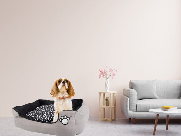 Lit pour chien en peluche avec coussin extractible doux et confortable