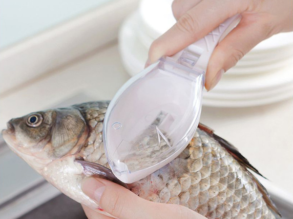 Fish scraper peeler scallion knife container