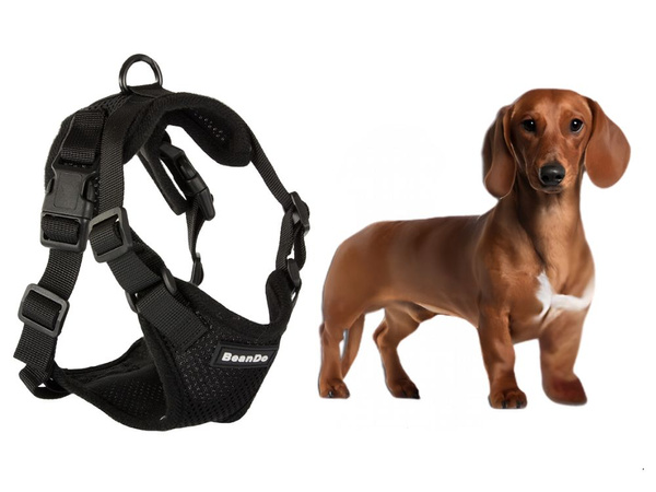 Harnais de marche sans pression pour petit chien poignée léger doux fort m