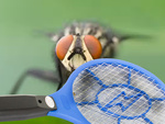 Elektrický lapač much sáček na tlapky komáři můry mouchy