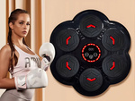 Boxing shield trainer music bluetooth usb c + boxing gloves