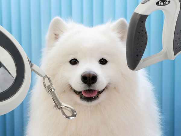 Automatic leash 5m strong for dog up to 20kg with lock strong long