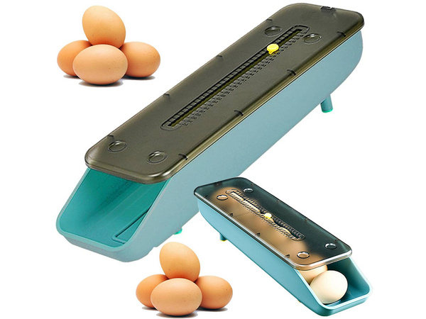 Boîte à oeufs boîte à oeufs organisateur de réfrigérateur plateau à oeufs