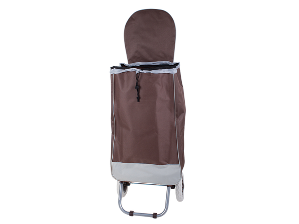 Nákupní vozík nákupní taška na kolečkách pevná