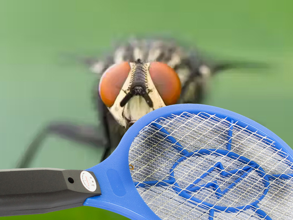 Electric fly catcher paw pouch mosquitoes moth flies