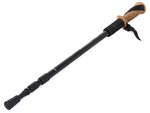 Nordic walking cork walking stick
