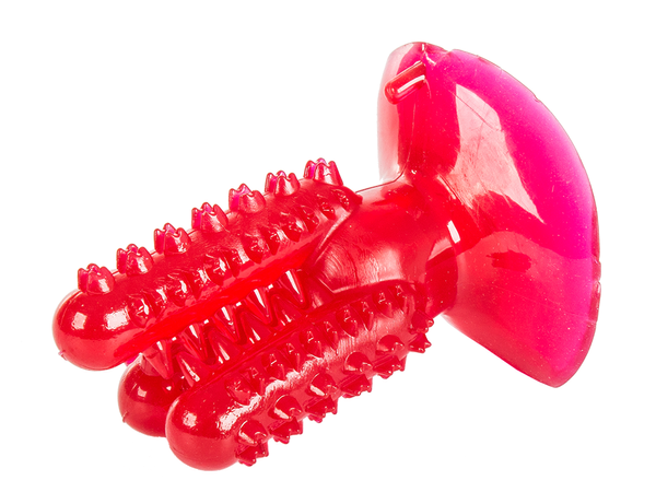 Perro masticar cepillo de dientes cactus para perros